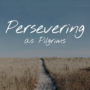 Persevering as Pilgrims - Leigh Berg