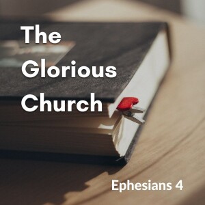 The Glorious Church - Terry Virgo