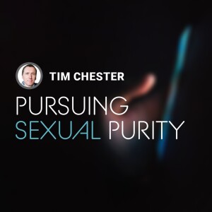 Pursuing Sexuality Purity Q&A - Tim Chester