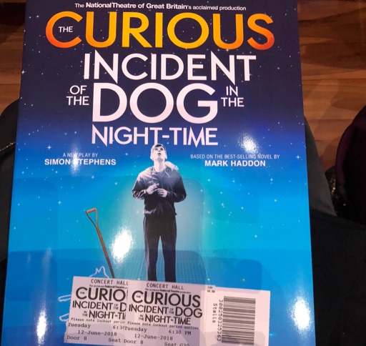 The Curious Incident of the Dog in thr Night-Time