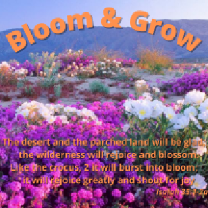 Bloom & Grow Wisdom
