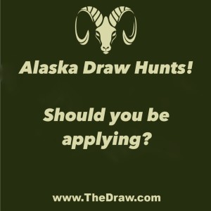 Alaska Draw Hunt Overview
