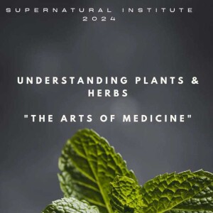 Understanding Herbs _The art of medicine.mp3