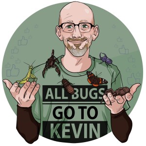 All Bugs Go To Kevin