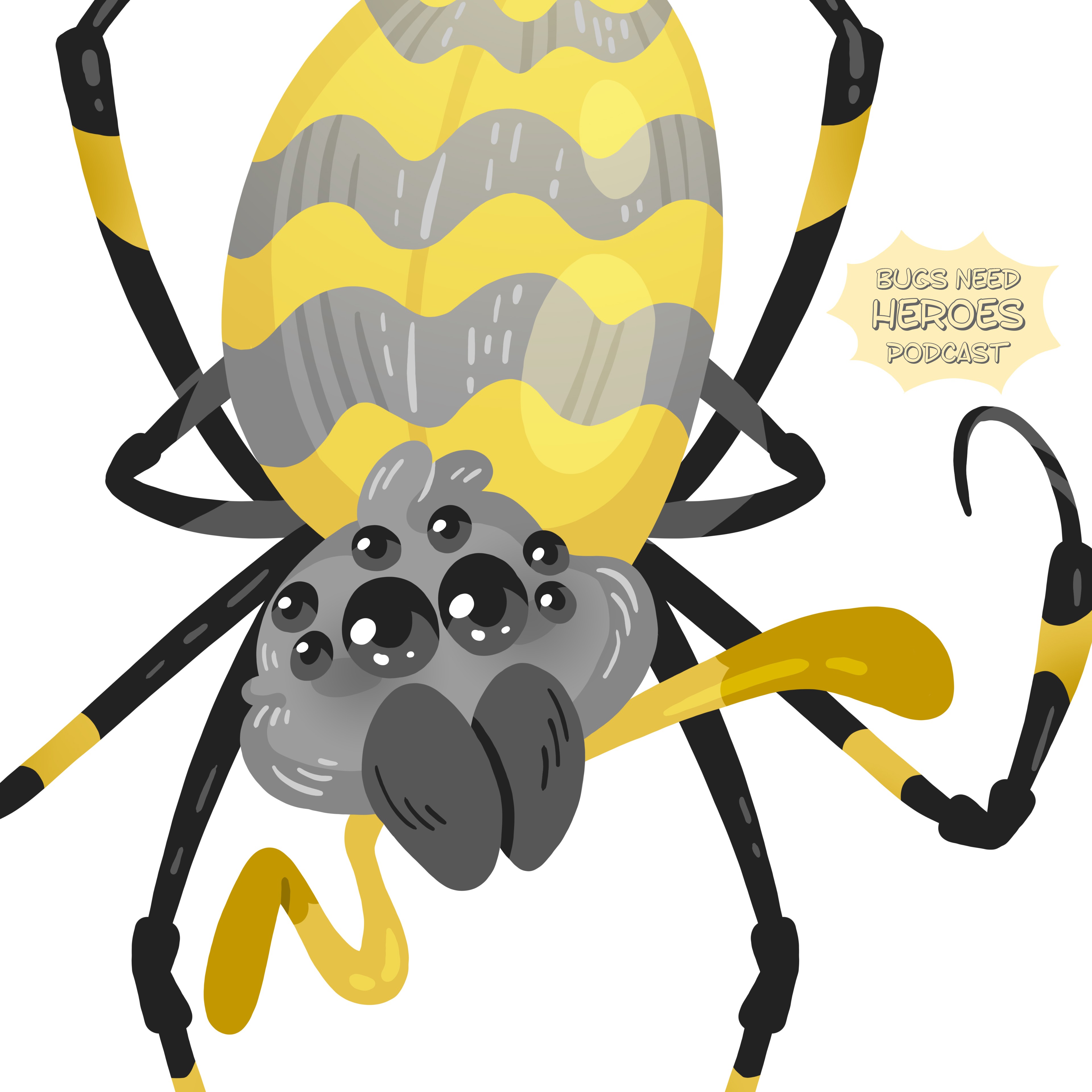 BONUS: Don't freak out about Joro Spiders