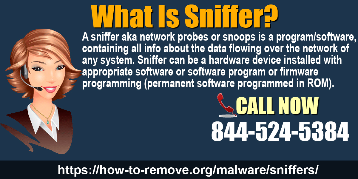 What Is Sniffer