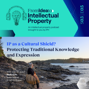 IP as a Cultural Shield? Protecting Traditional Knowledge and Expression