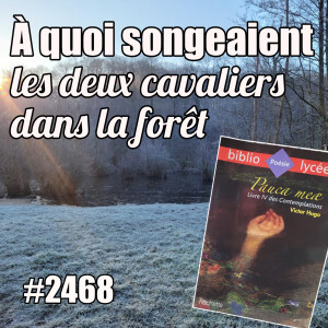 2468 — À quoi songeaient les deux cavaliers dans la forêt — mercredi 5 février 2025