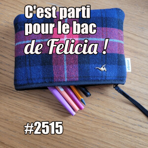 2515 — C’est parti pour le bac de Felicia — mercredi 28 mai 2025