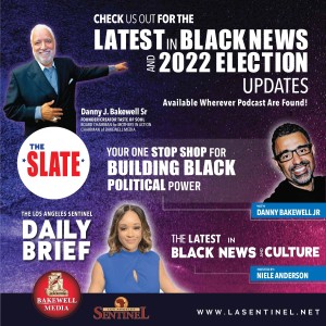 LATEST in Black News & 2022 Election Updates with Danny Bakewell Jr.