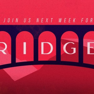 Bridges - The Bridge Between Us