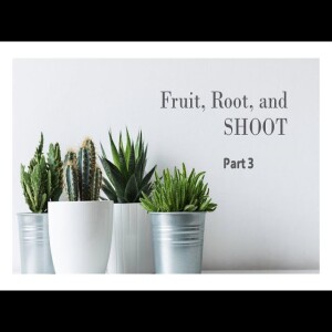 Part 3:  Fruit, Root, and SHOOT!