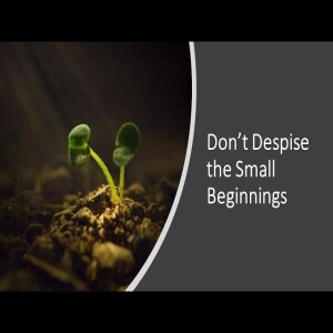 Don’t Despise the Small Beginnings