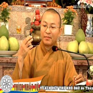 Kinh Trung Bộ 2 - Bảy cách dứt trừ khổ đau 2 (16/07/2010)