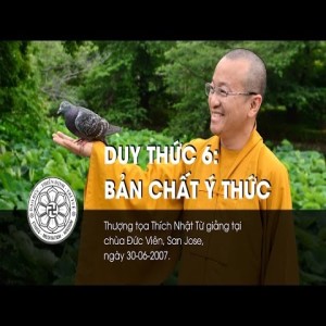 Duy Thức 6: Bản chất ý thức (30/06/2007)