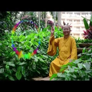 Vấn đáp: Hộ niệm vãng sanh, tụng kinh cầu siêu, lục đạo luân hồi, địa ngục ở đâu, Tây Phương Cực Lạc, phóng sanh và sát sanh, nhất tâm bất loạn