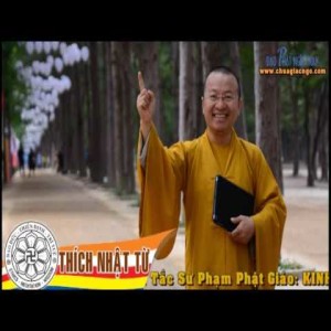 Sư Phạm Giáo Lý Phật Giáo: Kinh nghiệm hoằng pháp của Đức Phật (17/03/2006)
