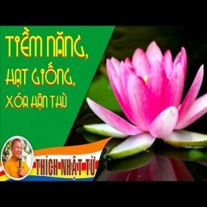 Tiềm năng, hạt giống, xóa hận thù (6/3/2013)