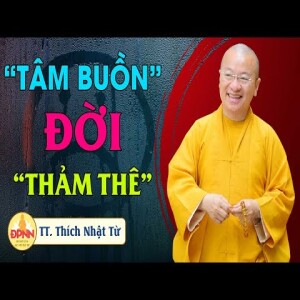 Tâm buồn đời thảm thê - TT. Thích Nhật Từ