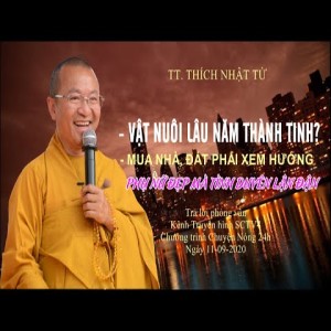 TT. Nhật Từ trả lời phỏng vấn kênh Truyền hình SCTV4 (phần 2)