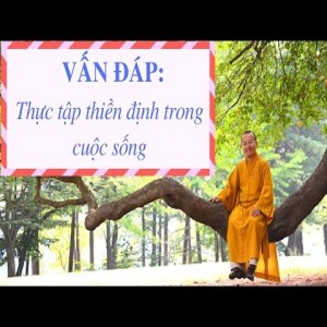 Vấn đáp: Cách thức thực tập thiền định trong cuộc sống (29/12/2013) Thích Nhật Từ