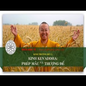 Kinh trường bộ 11 - Kinh Kevaddha - Phép mầu và Thượng đế (08/06/2014) - Thích Nhật Từ