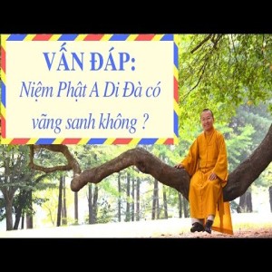 Vấn đáp: Tụng ít kinh, hôn trầm, niệm Phật vãng sanh, hương linh và ngoại cảm