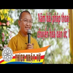 Năm pháp thoại chuyển hóa oan ức 1 (04/12/2004)