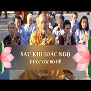 Sau khi giác ngộ dưới cội bồ đề (27/02/2011)