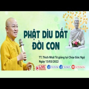 Phật dìu dắt đời con