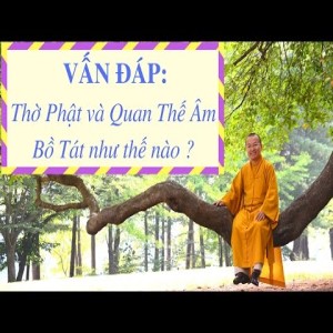  Vấn đáp: Thờ Phật, thông điệp kinh A Di Đà, đưa giáo lý Phật giáo vào nhà trường, thực tập vô ngã vị tha trong đời sống hằng ngày (28/01/2012) Thích Nhật ...