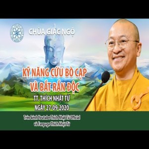 Kỹ năng cứu bò cạp và bắt rắn độc
