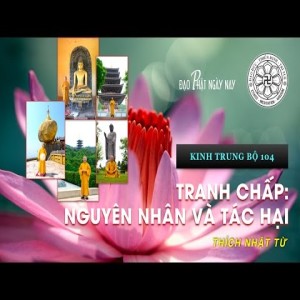 Kinh Trung Bộ 104 (Kinh Làng Sama) - Tranh chấp: Nguyên nhân và tác hại (11/06/2010)