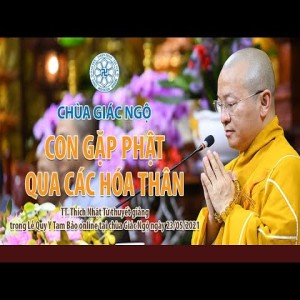 Con gặp Phật qua các hóa thân