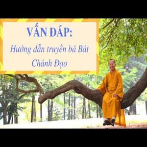 Vấn đáp: Truyền bá chánh đạo, học và tu chánh pháp, sám hối và chuyển nghiệp - 29/06/2014