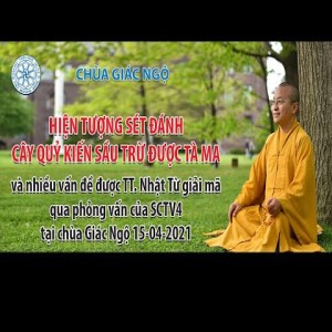 Hiện tượng sét đánh, cây quỷ kiến sầu trừ được tà ma
