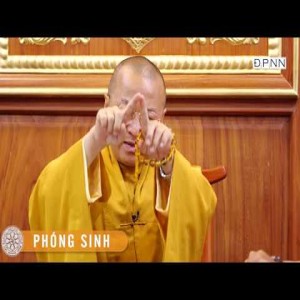 TT. Thích Nhật Từ nói về phóng sanh thế nào cho đúng