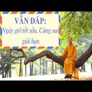 Vấn đáp: Câu hỏi cho người bắt đầu học Phật (02/12/2011) Thích Nhật Từ