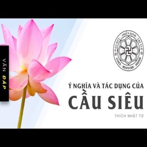 Vấn đáp: Ý nghĩa và tác dụng của cầu siêu (13/12/2013) Thích Nhật Từ