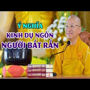 Kinh dụ ngôn người bắt rắn - Thầy Nhật từ giảng
