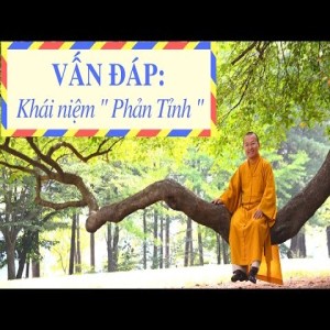 Vấn đáp: Phản tỉnh, bốn đôi tám vị, hộ niệm, cúng 49 ngày, Phật A Di Đà