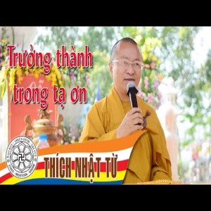 Trưởng thành trong tạ ơn (11/2004)