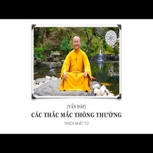 Vấn đáp: Các thắc mắc thông thường (04/06/2011) Thích Nhật Từ