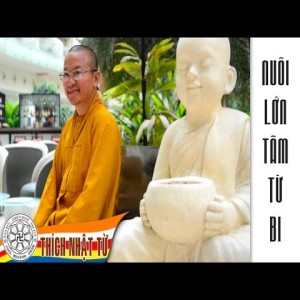 Nuôi lớn tâm từ bi (14/12/2013)