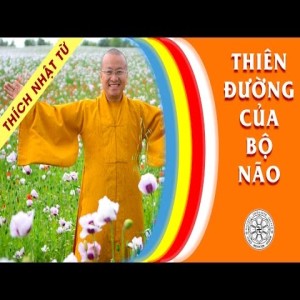 Thiên đường của bộ não (24/10/2009)