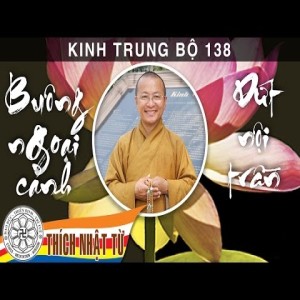 Kinh Trung Bộ 138 (Kinh Tổng Thuyết và Biệt Thuyết) - Buông ngoại cảnh, dứt nội trần (2/8/2009)