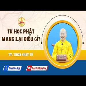 Học Phật đúng cách - Thầy Nhật Từ chia sẻ cho Phật tử tại gia