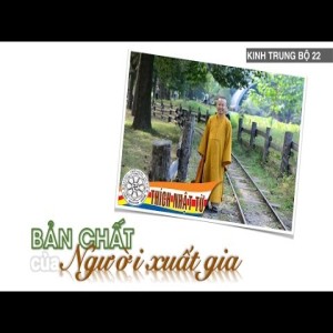 Kinh Trung Bộ 22 (Kinh Ví Dụ Con Rắn) - Bản chất của người xuất gia (30/10/2005)