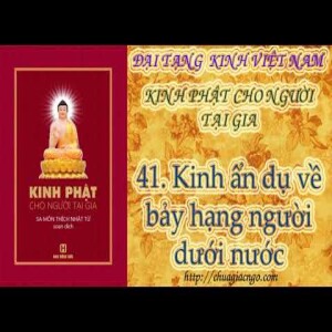K22 - 41. Kinh ẩn dụ về bảy hạng người dưới nước 
