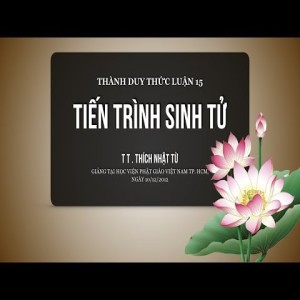 Thành Duy Thức Luận (2012) - Phần 15: Tiến trình sinh tử